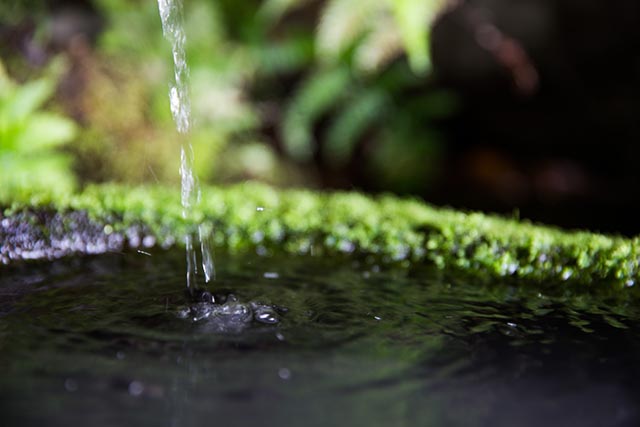 手水鉢にしたたる水滴