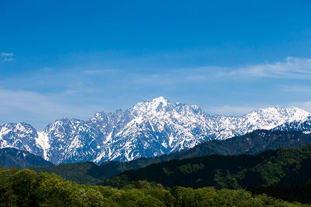 ���x�C���[�W�ʐ^